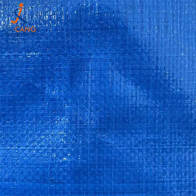 PP PP POCTER POINK BAG